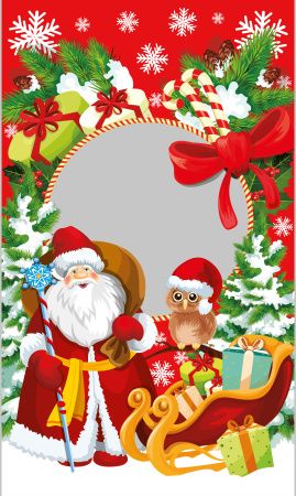 пакеты п/п 260х430/40 НГ Дед Мороз, сова и санки ЛАМ/100