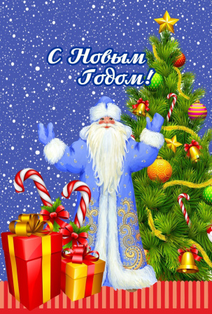 пакеты п/п 200х300/30 НГ Дед мороз с ёлкой/100